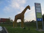 Der familienfreundliche Tierarzt Giraffe Parkplatz Kiddyspace