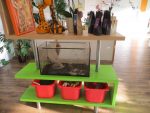 Der familienfreundliche Tierarzt Spielecke Kiddyspace