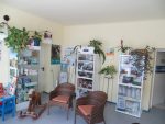 Dr Sigrit Hepperle kinderfreundlicher Tierarzt Kiddyspace