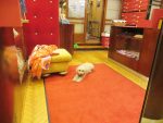 Derby Handschuhe Kiddyspace