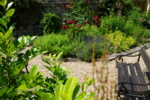 Haydn_Kräutergarten2