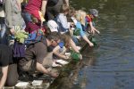 Nationalpark-Donauauen-Exkursion-Foto-Kovacs-Kiddyspacepartner