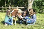Tierschutz macht SchuleSchottenhof