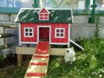 Pension Gasthaus Widauer Streichelzoo Kiddyspace