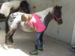 Ponyclub Salzburg Kiddyspace