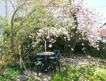 der kleine Garten