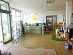 Holzwurm Creativ trägt das Gütesiegel Kiddyspace