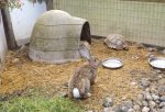 Tierpark Preding kinderfreundlich