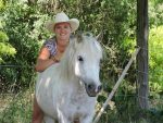 Westernreiten Wolf