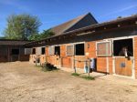 Westernreiten Wolf Reiten für Kinder Kiddyspace