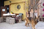 Mensch und Pferd Sitzecke