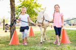 Schloss Hof_Kinder_Esel_Eselparcours(c)SKB_Foto Astrid Knie