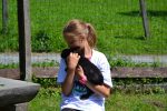 Hase1