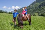 Ponys