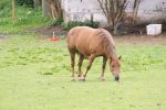 SONY DSC