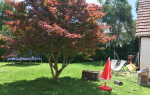 Gasthaus Amschl Garten mit Kiddyspace Gütesiegel