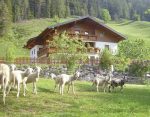 Untersteinhof Forstau ist Kiddyspace Partner