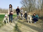 Familienwanderung mit den Huskys Huskyfieber