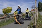 Gästhaus Muster – Ausfahrt auf Rollen