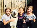 Huskyfieber trägt das Gütesiegel Kiddyspace