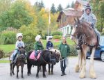 Ponyhof Holzmühle