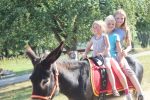 Ponyhof Holzmühle trägt das Gütesiegel Kiddyspace