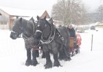 Ponyhof Holzmühle Schlittenfahrt Kiddyspace