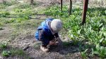 Waldpädagogik Grolig im Schottenwald