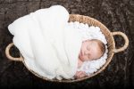 Studio Horak Babyfoto