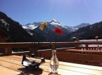 Ausblick von der Terasse im Alpengasthaus