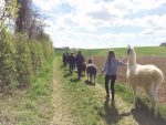 Tierlacherhof ist Kiddyspace Partner