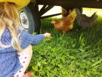 Bergbauernerlebnis Bernegg ist Kiddyspace Partner