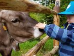 Bergbauernerlebnis Bernegg trägt das Gütesiegel Kiddyspace