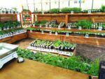 Gemüsegarten Fida trägt das Gütesiegel Kiddyspace