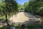 Aruna Farm trägt das Gütesiegel Kiddyspace