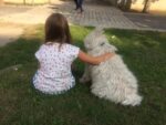 Verein Tiere als Therapie trägt das Gütesiegel Kiddyspace