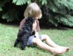 Verein Tiere als Therapie trägt das Gütesiegel Kiddyspace