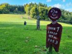 KUMM Discgolf ist Kiddyspace Partnerbetrieb