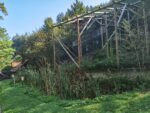 Naturschutzzentrum Bruck an der Mur trägt das Gütesiegel Kiddyspace