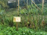Naturschutzzentrum Bruck an der Mur ist Kiddyspace Partner