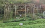 Naturschutzzentrum Bruck an der Mur ist Kiddyspace Partner
