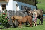 Hinkerhof ist Kiddyspace Partnerbetrieb